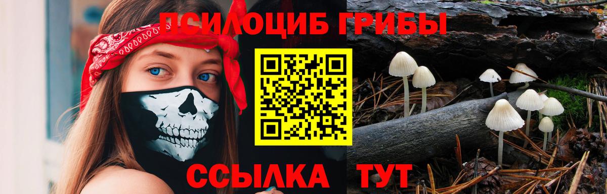 Галлюциногенные грибы ЛСД  Вход с VPN  Галлюциногенные грибы Psilocybe  закладка  Таганрог 